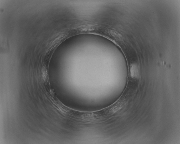 X0000076251444200610051208
