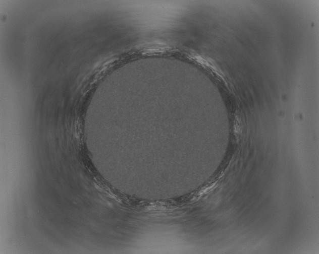 X0000076251445200610051208