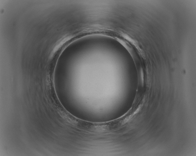 X0000076251453200610051208