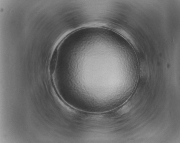 X0000076251484200610051208