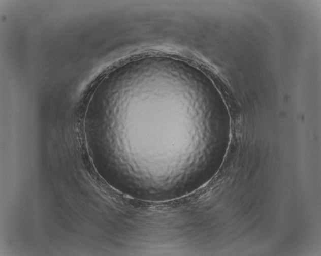 X0000076251496200610051207