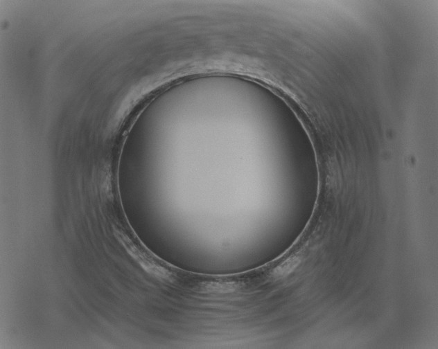X0000076251499200610051207