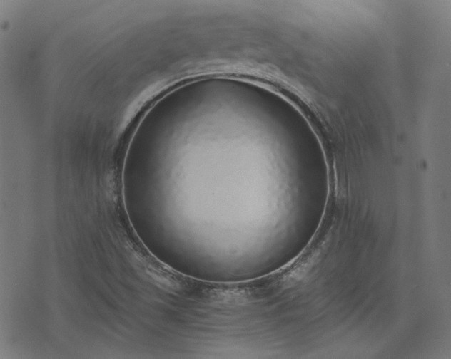 X0000076251501200610051207