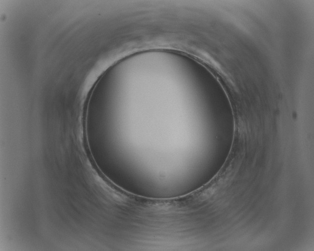 X0000076251512200610051207