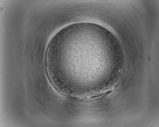X0000076251536200610051208