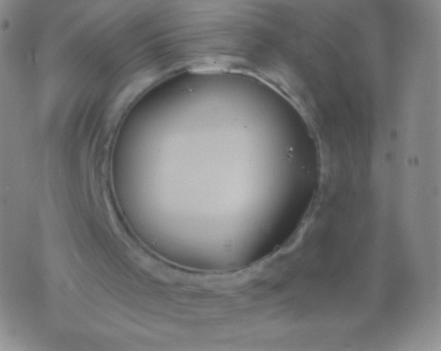 X0000076250001200610122217