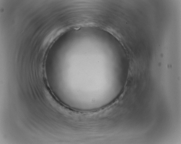 X0000076250002200610122217