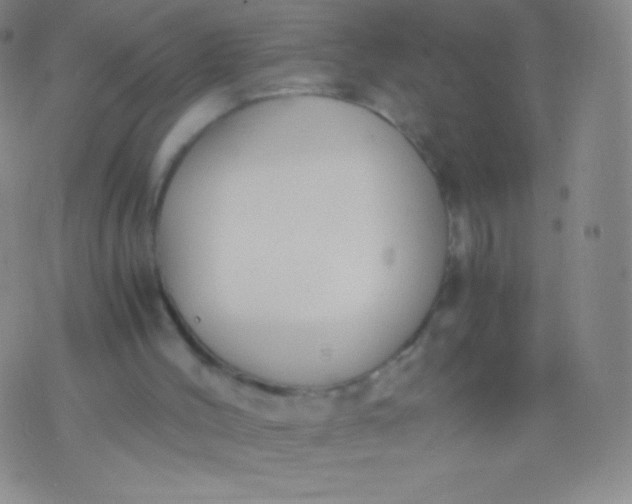 X0000076250004200610122217