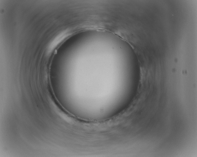 X0000076250005200610122217