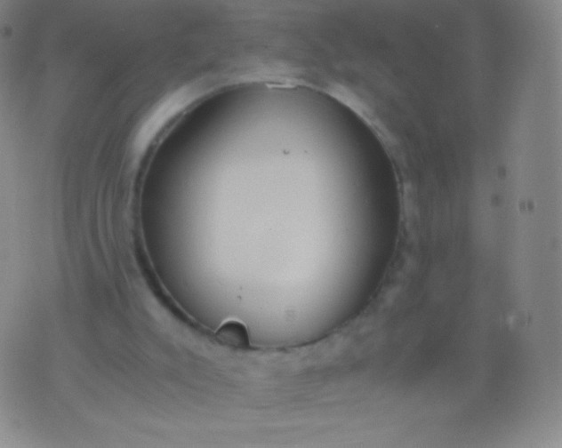 X0000076250007200610122217