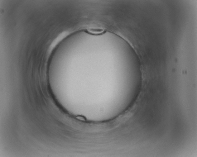 X0000076250008200610122217