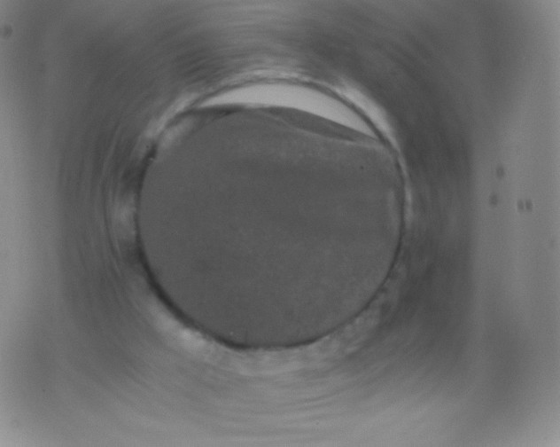 X0000076250009200610122217