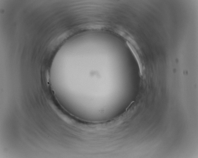 X0000076250013200610122217