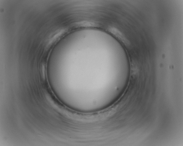 X0000076250014200610122217