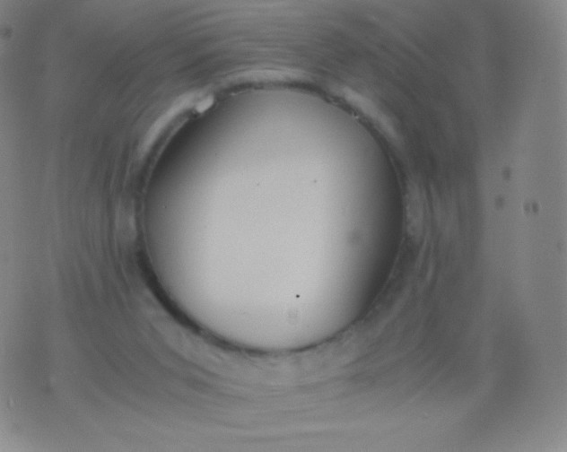 X0000076250015200610122216