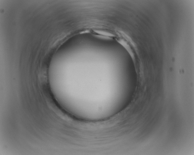 X0000076250017200610122216