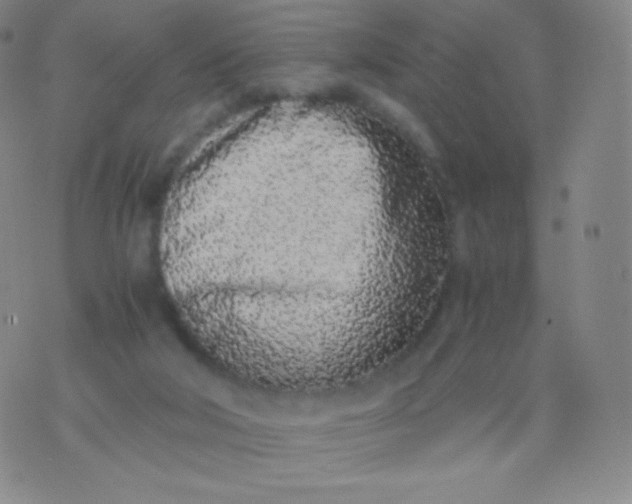 X0000076250018200610122216