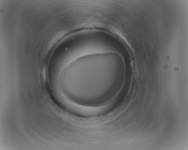 X0000076250019200610122216