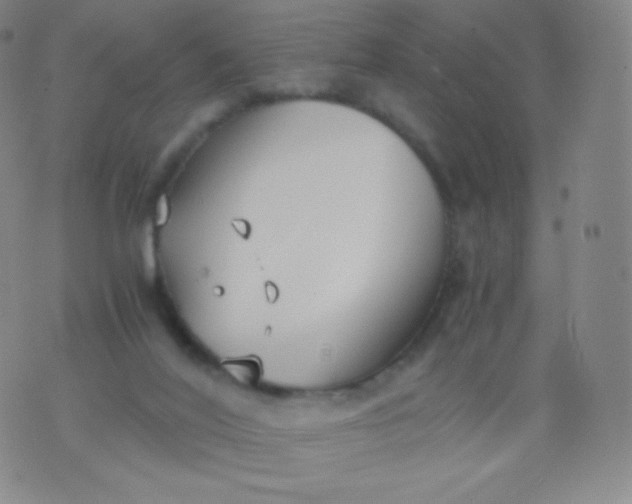 X0000076250020200610122216