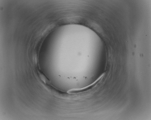 X0000076250021200610122216