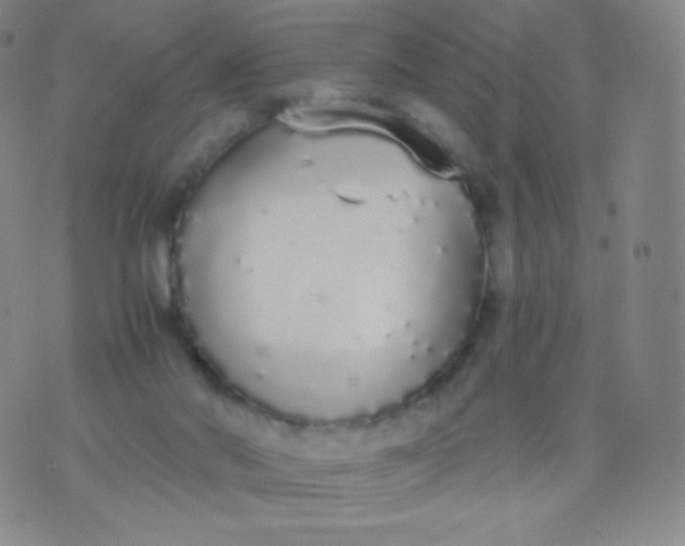 X0000076250022200610122216