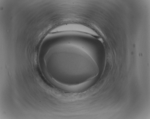 X0000076250023200610122216