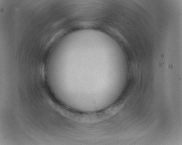 X0000076250024200610122216