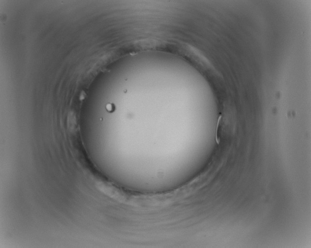 X0000076250025200610122216