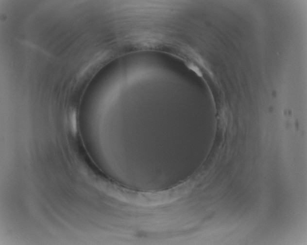 X0000076250027200610122216