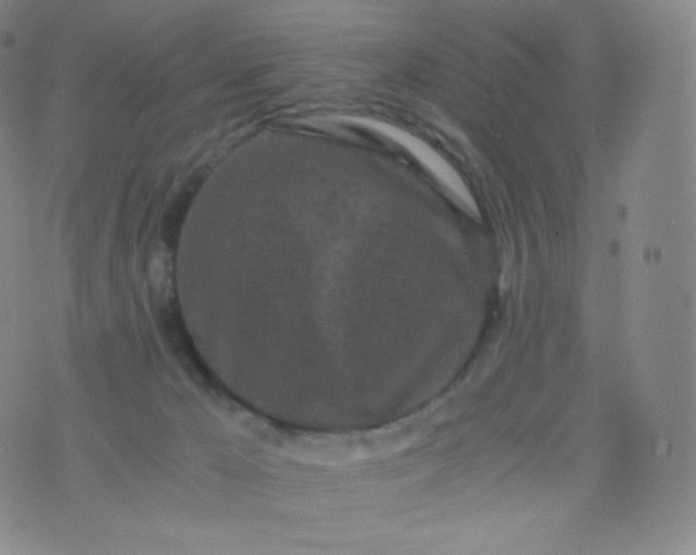 X0000076250029200610122216