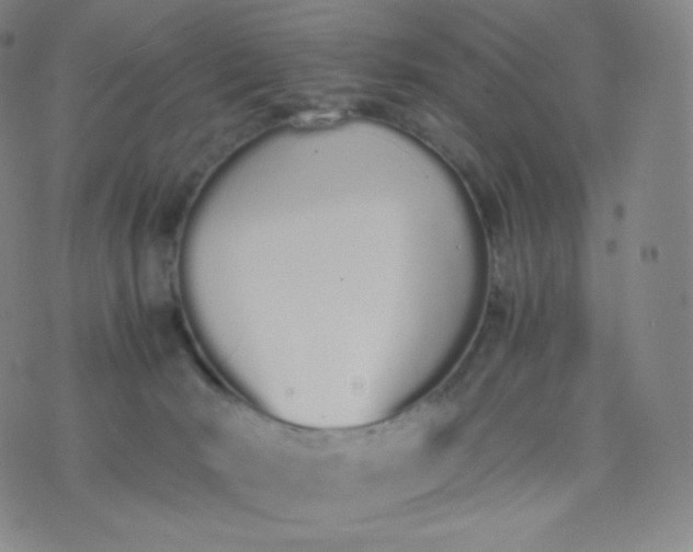 X0000076250030200610122216