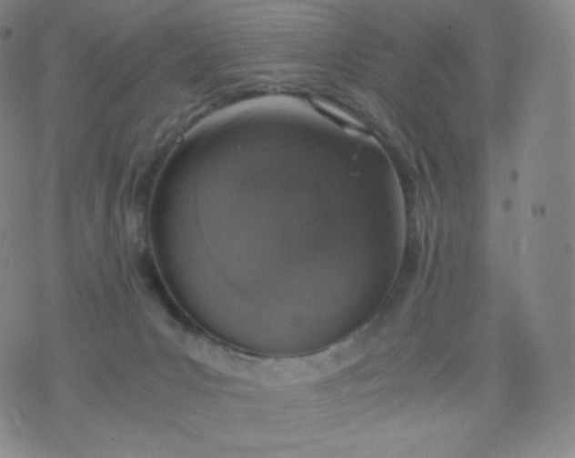 X0000076250031200610122216