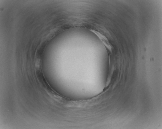 X0000076250033200610122216