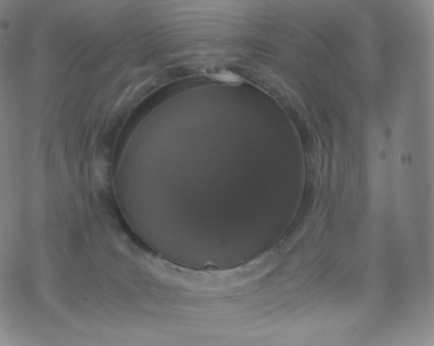 X0000076250035200610122216