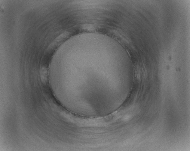 X0000076250036200610122216