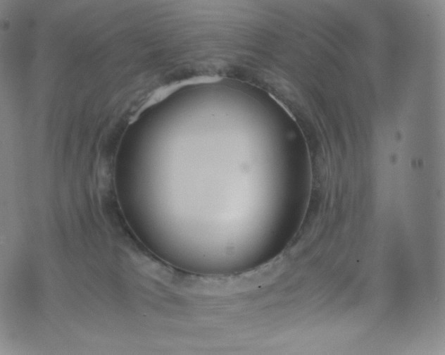 X0000076250037200610122216