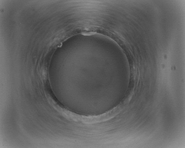 X0000076250039200610122216