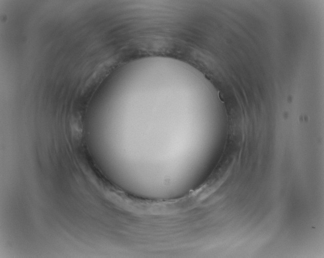 X0000076250040200610122216