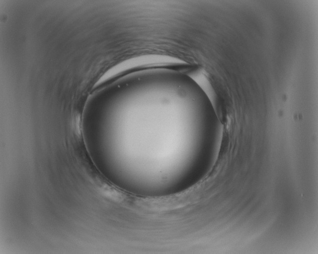 X0000076250041200610122216