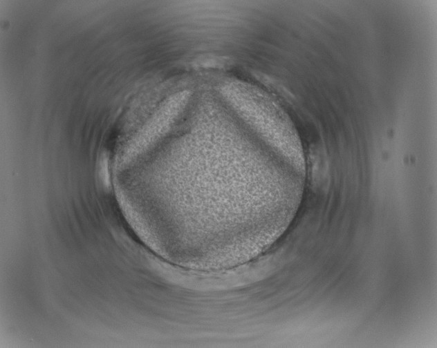 X0000076250042200610122216