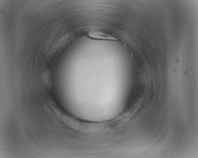 X0000076250044200610122216