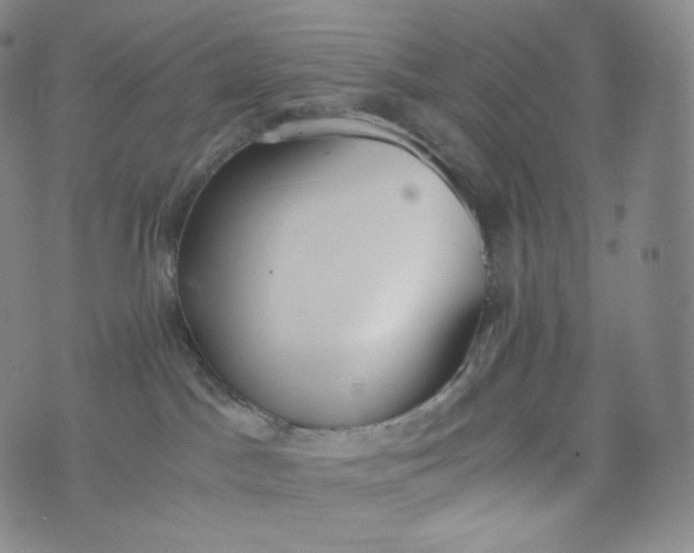 X0000076250045200610122216