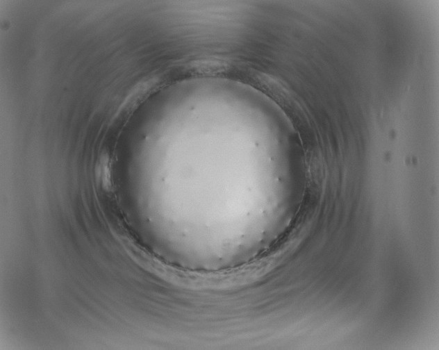 X0000076250046200610122216