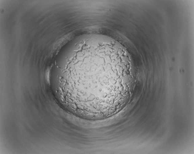 X0000076250047200610122216