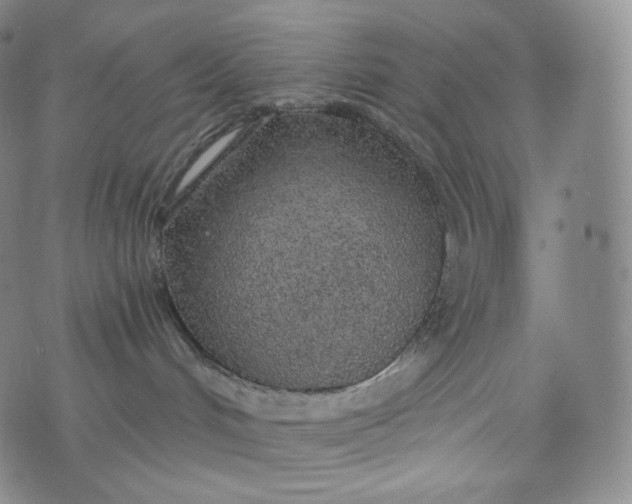 X0000076250048200610122216