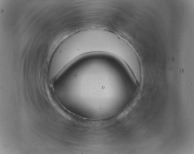 X0000076250049200610122215