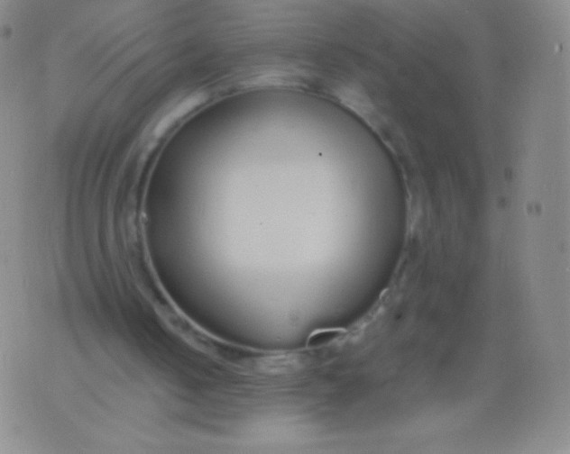 X0000076250050200610122215