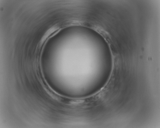 X0000076250051200610122215