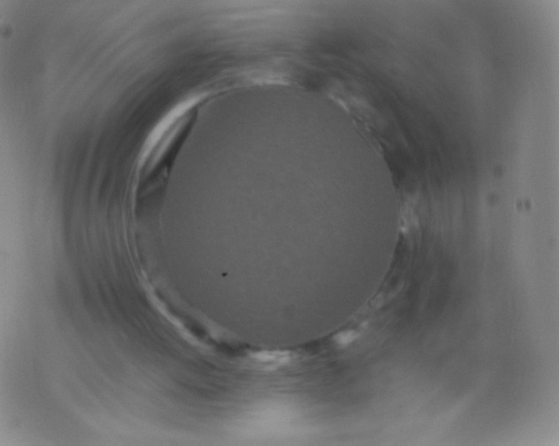 X0000076250052200610122215