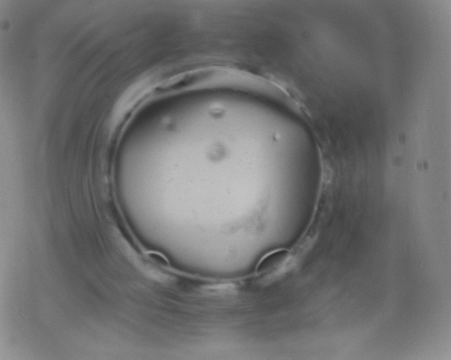 X0000076250053200610122215